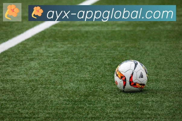ayx体育全站App